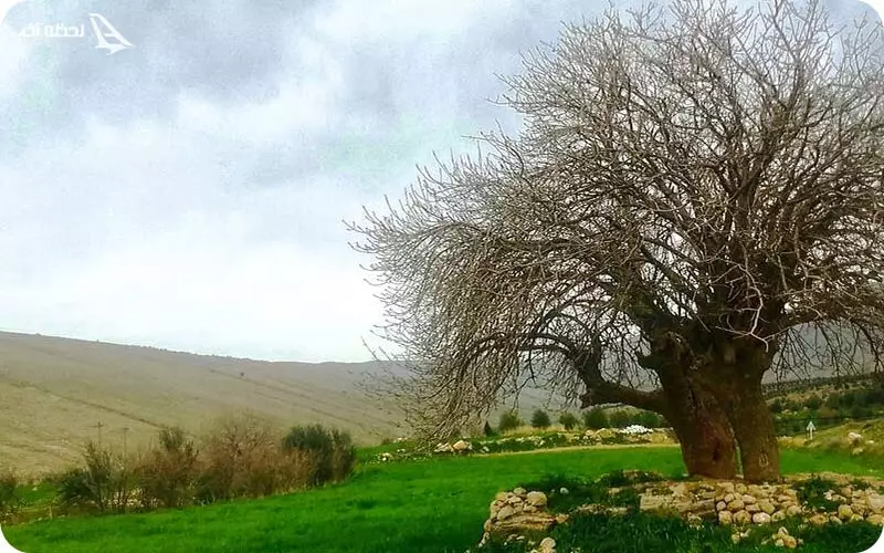 آدرس جوانرود