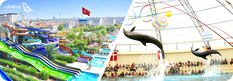 پارک آبی کلاب دلفین استانبول