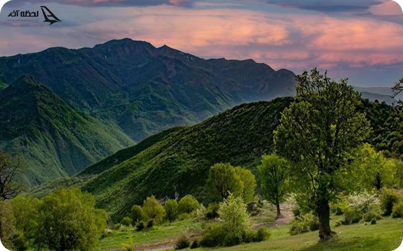 راهنمای سفر به جنگل ابر