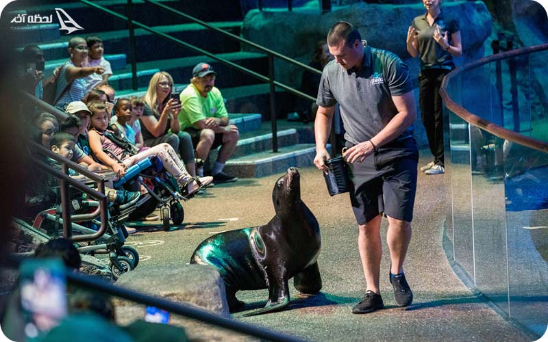 آکواریوم شد شیکاگو