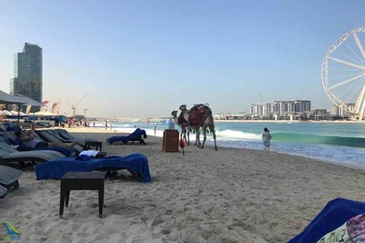 ساحل جی بی آر دبی