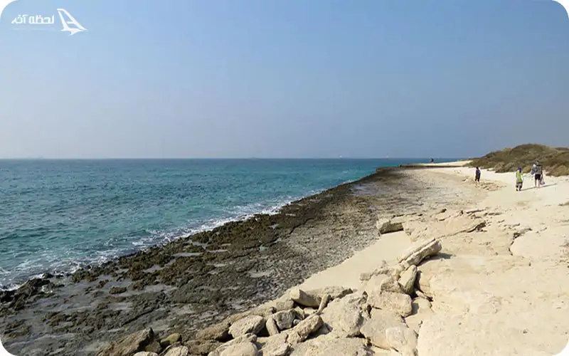 جزیره مارو کجاست ؟