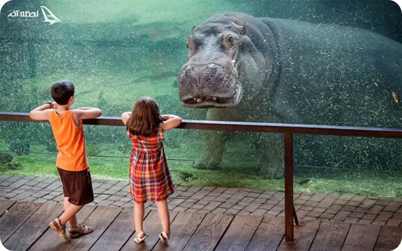 تفریحات رایگان دبی