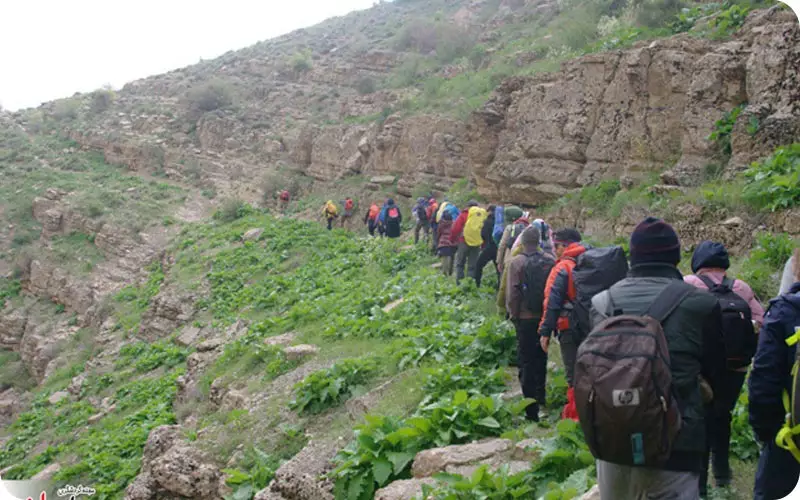 طبیعت فاروج