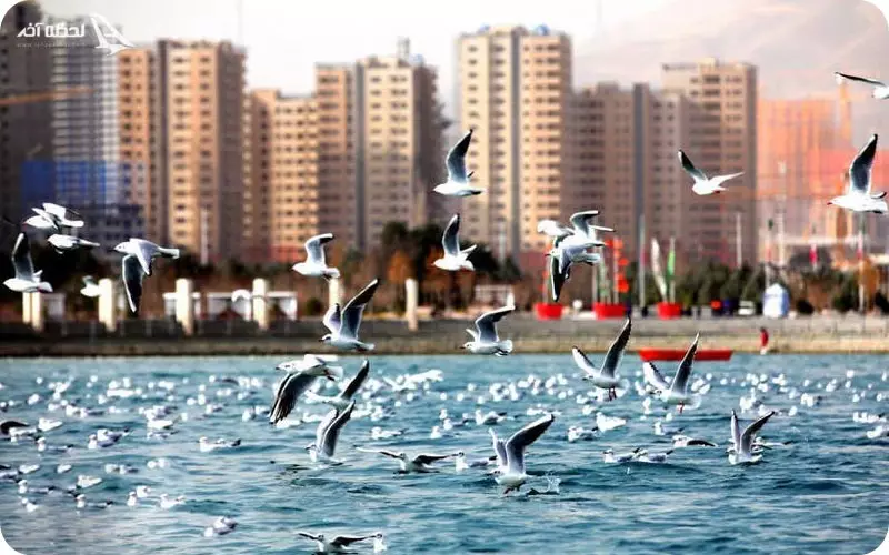 دریاچه چیتگر