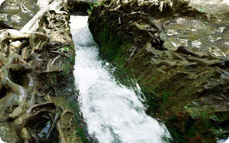 چشمه اسکندریه چشمه اسکندریه؛ آب زلال و گوارا