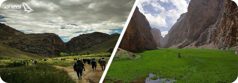 نکات مهم در حین سفر به تنگه واشی