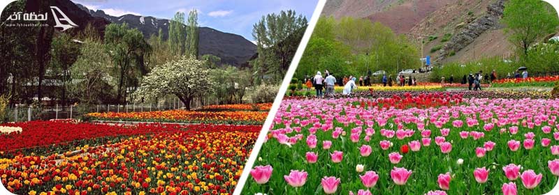 بخش های مختلف باغ لاله