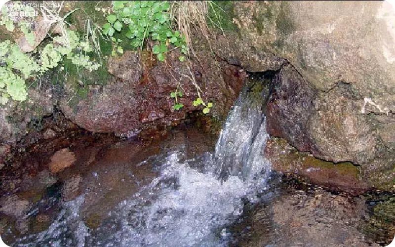 چشمه آب معدنی موسی