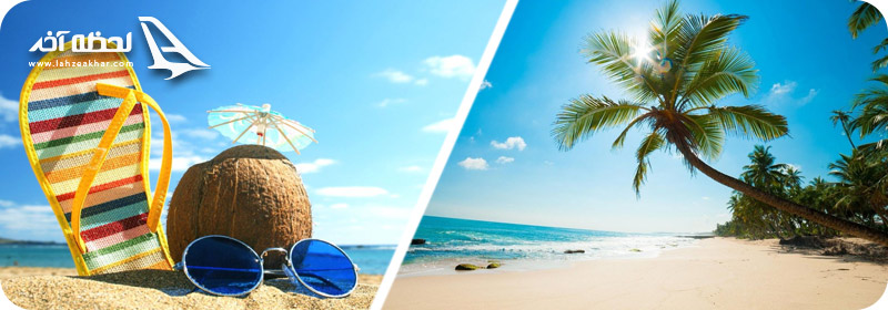 ساحل درختان نارگیل کیس