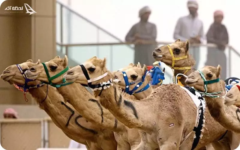 آداب و رسوم مردم دبی