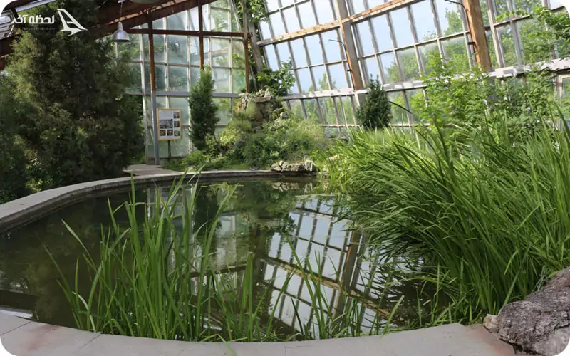 انواع باغ گیاه شناسی ایروان