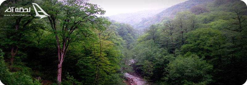 پارک جنگلی بی بی یانلو