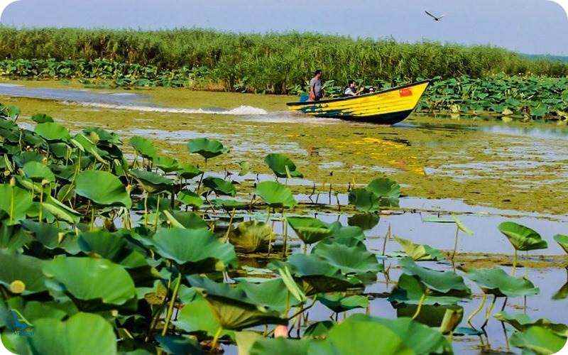 تالاب انزلی