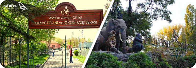 باغ وحش آنکارا