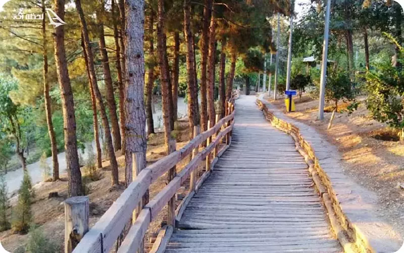 پارک طالقانی تهران