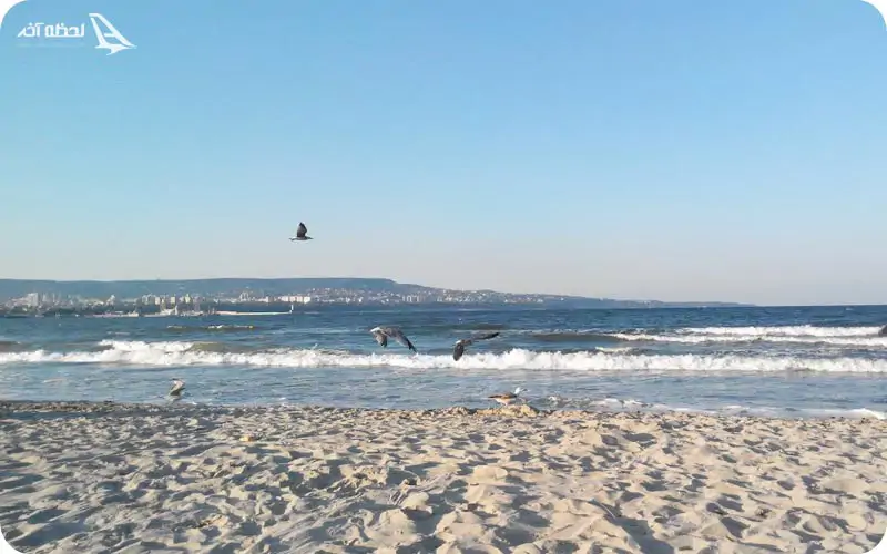 ساحل آسپاراهوو وارنا