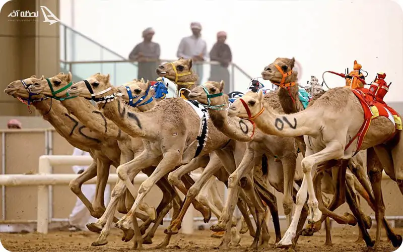 تفریحات رایگان دبی