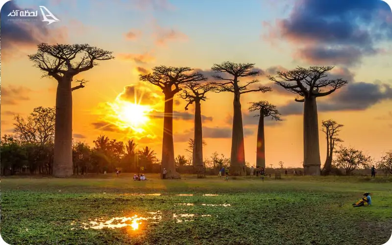 ماداگاسکار