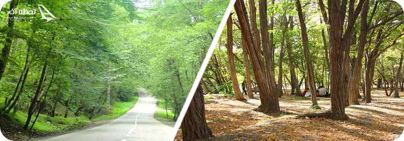 پارک های جنگلی تهران