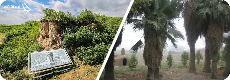 پوشش گیاهی شوش