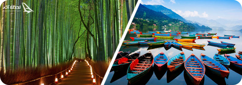 جنگا بامبو و دریاچه فیا