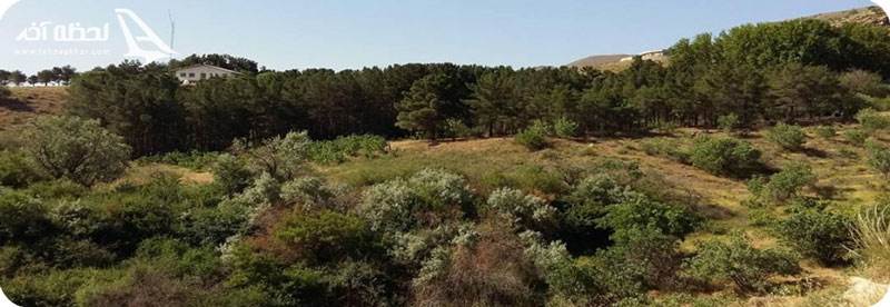 پارک ملی خجیر تهران