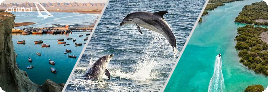 کوه های مریخی