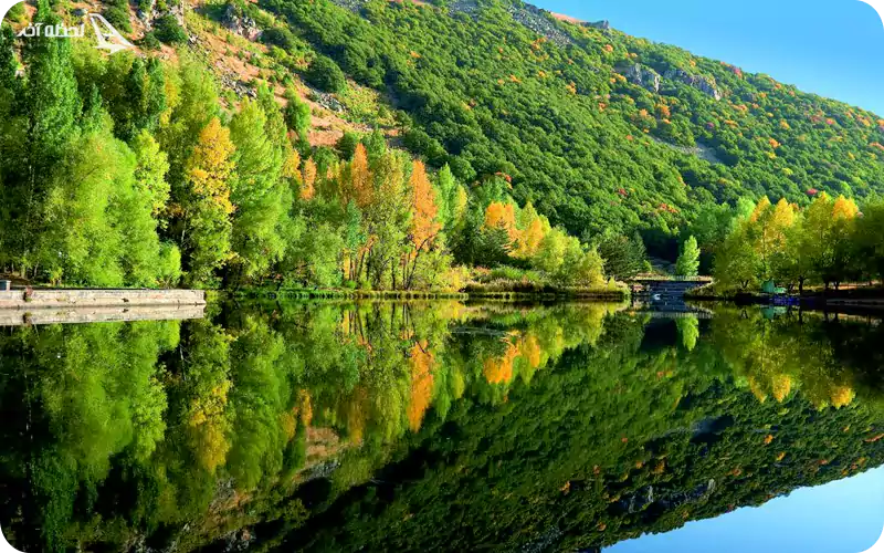 شهر سرسبز جرموک