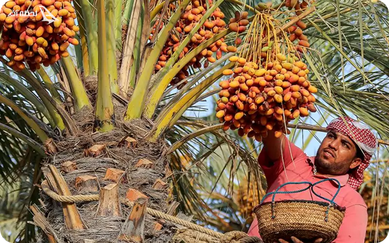 سوغات خرمشهر