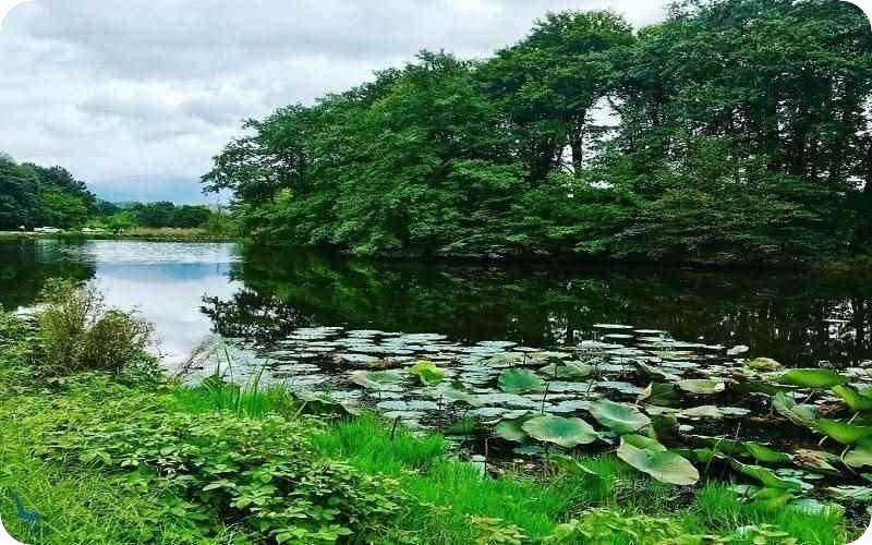 مکان های دیدنی لاهیجان