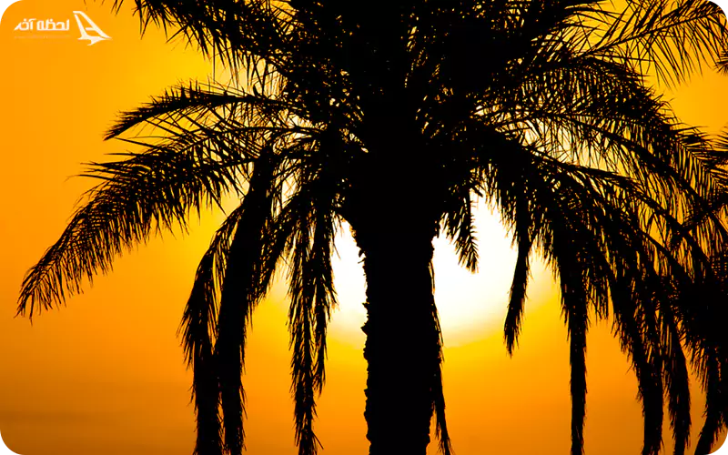 جزسره مینو خرمشهر