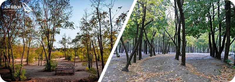 تصاویر پارک چیتگر تهران