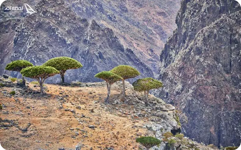 جاهای دیدنی یمن