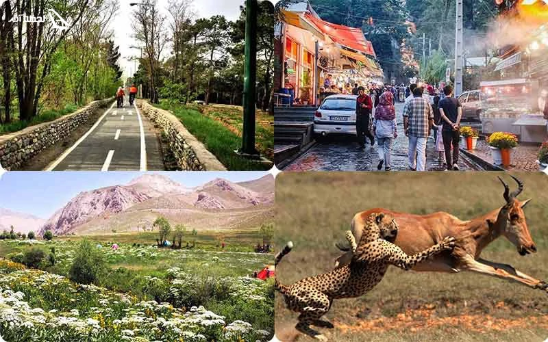 طبیعت گردی تهران در همه فصل ها و همه مناطق طبیعت گردی تهران