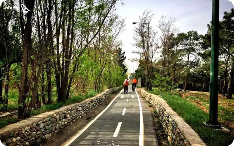 لذت رکاب زدن در پیچ و خم جاده های پارک جنگلی چیتگر پارک جنگلی چیتگر؛ دوچرخهسواری در پاییز