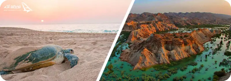 روستای گوران و شیب دراز قشم