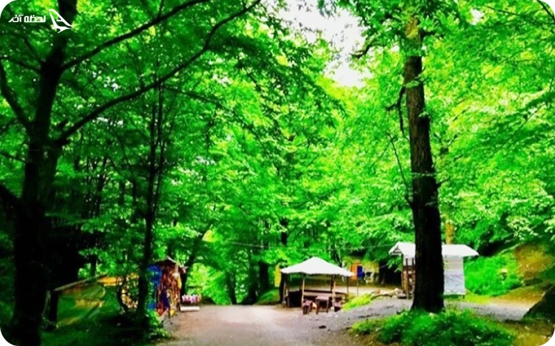 پارک جنگلی جواهرده