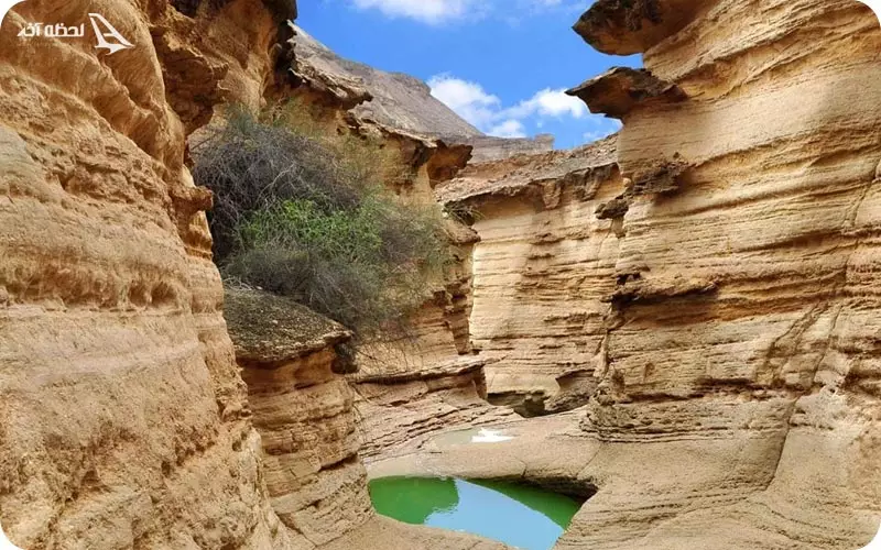 جزیره قشم