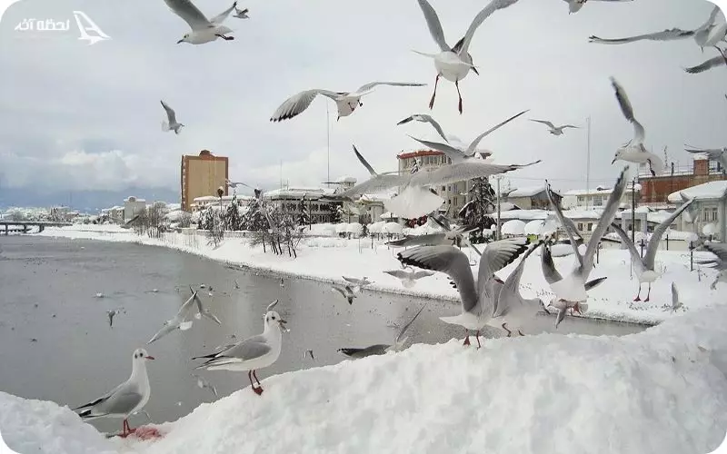 آب و هوای مازندران در زمستان
