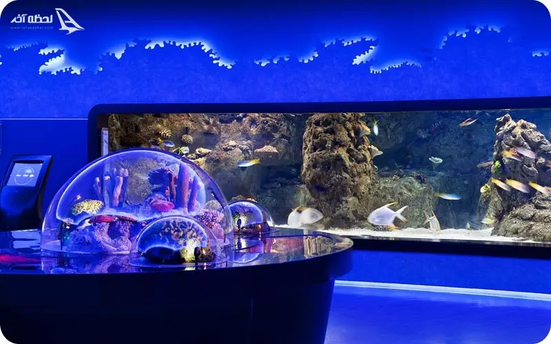 آکواریوم فلوریا استانبول