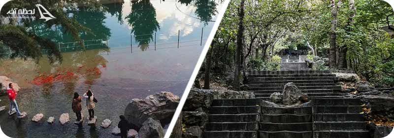 تصاویر پارک جمشیدیه