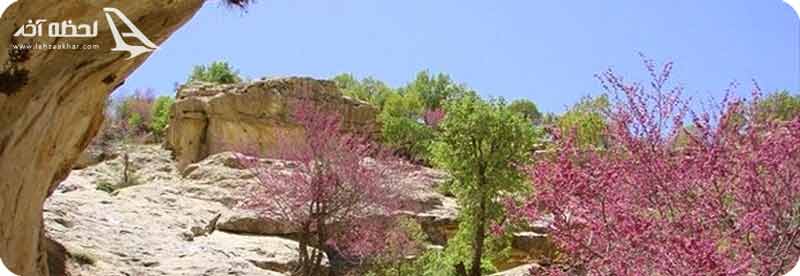 دره ارغوان ایلام