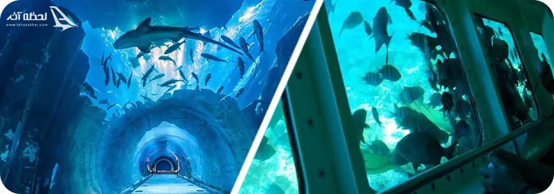 تفاوت آکواریوم و کشتی های آکواریومی