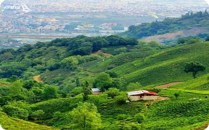 چمخاله