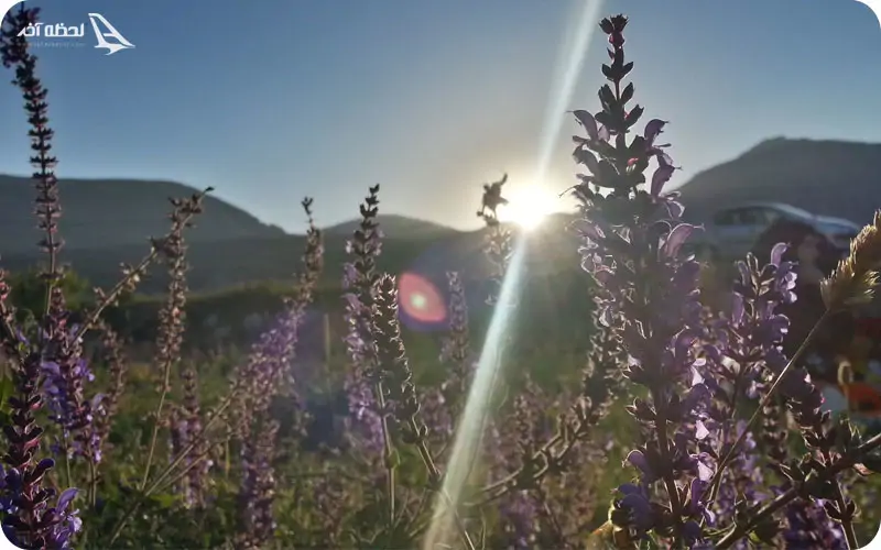 طبیعت زیبای ماکو