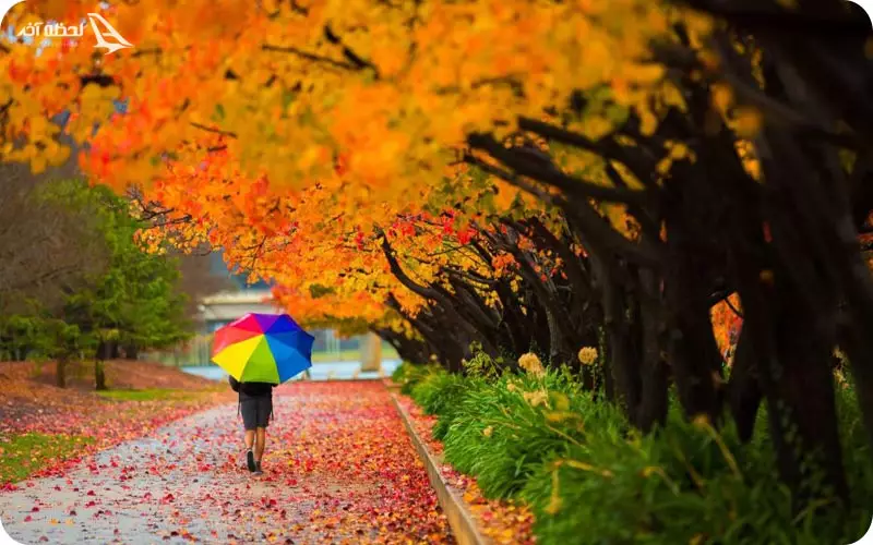 آب و هوای استرالیا