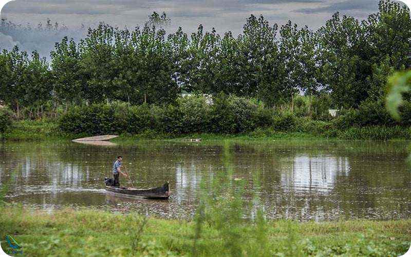 پارک ملی کیاشهر