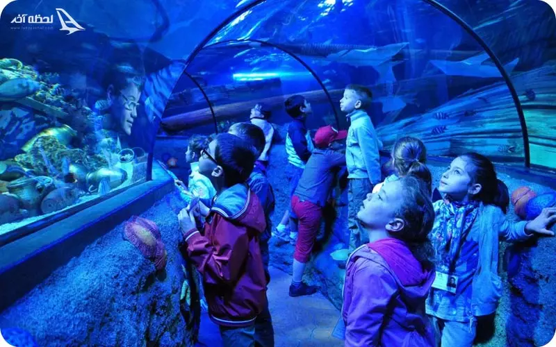 آکواریوم سی لایف استانبول