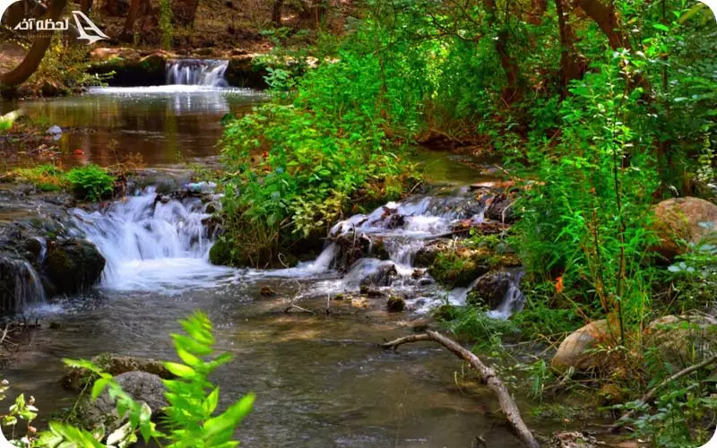 تلفن پارک ملی تندوره